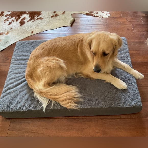 Meet your Posher, Sally - Picture 6 of 6